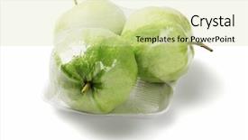  Presentation with guava fruits psidium guajava - PPT theme with three guava fruits in cellophane background and a soft green colored foreground