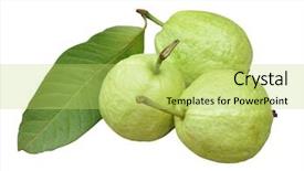  Presentation with guava fruits - Cool new presentation theme with three guava backdrop and a yellow colored foreground