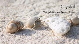  Presentation with crabs - Colorful slide deck enhanced with fregates - three hermit crabs species coenobita backdrop and a light gray colored foreground
