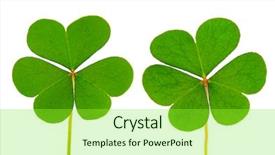  Presentation with four leaf clover - Colorful slide deck enhanced with three leaf clover on white backdrop and a seafoam green colored foreground