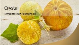  Presentation with cucumbers - Theme enhanced with gold spherical - three lemon or apple cucumbers background and a lemonade colored foreground