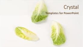  Presentation with lettuce - PPT layouts with three little gem lettuce leaves background and a sky blue colored foreground