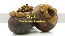  Presentation with mangosteen - Cool new PPT layouts with three mangosteen on white background backdrop and a tawny brown colored foreground
