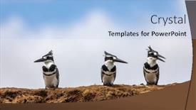  Presentation with uganda - PPT theme featuring three-mature-male-african-pied background and a  colored foreground