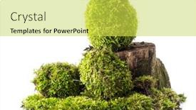  Presentation with grown - Colorful presentation theme enhanced with three-moss-grown-eggs-over backdrop and a yellow colored foreground