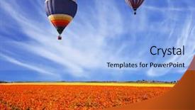  Presentation with rural tourism concept - Presentation featuring three multi-color balloons flying over fields of red buttercups - ranunculus concept of rural and extreme tourism background and a light blue colored foreground