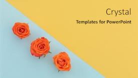  Presentation with blue orange - Cool new PPT layouts with three-orange-roses-on-blue backdrop and a yellow colored foreground