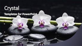  Presentation with still life crucifixion table - Slides having three orchid and zen stones background and a wine colored foreground