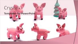  Presentation with pigs - Slide set enhanced with three-piglets-cute-pink-pigs background and a coral colored foreground
