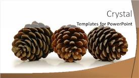  Presentation with pine - Audience pleasing PPT layouts consisting of three pine cones isolated on white backdrop and a white colored foreground