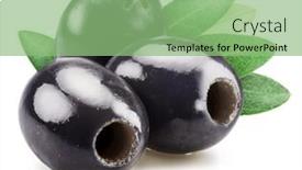  Presentation with olive - Theme having three-pitted-black-olives background and a seafoam green colored foreground