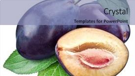  Presentation with three - Colorful PPT layouts enhanced with three plums with leaf file backdrop and a light blue colored foreground