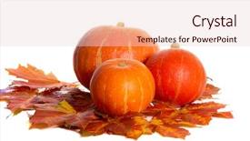  Presentation with maple leaves - Audience pleasing slides consisting of three pumpkins between colorful autumn maple leaves backdrop and a lemonade colored foreground