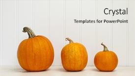  Presentation with newborn sizes - Colorful slides enhanced with three pumpkins of various sizes backdrop and a white colored foreground