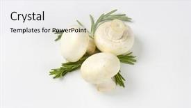  Presentation with pure white - Slides featuring three pure white champignon mushrooms decorated with rosemary background and a white colored foreground