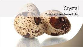  Presentation with quail - Slide deck having three quail eggs isilated on white background and a white colored foreground