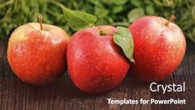  Presentation with green apples - Beautiful slide set featuring three-red-apples-with-green backdrop and a tawny brown colored foreground