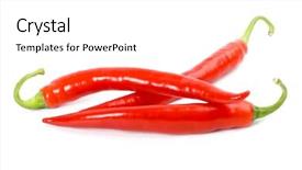  Presentation with red chilly - Presentation theme having three red chilly peppers on white background background and a white colored foreground