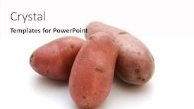  Presentation with three - Slide set with three-red-french-miniature-potatoes background and a white colored foreground