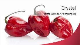  Presentation with chili - Audience pleasing presentation theme consisting of three red habanero chili peppers backdrop and a white colored foreground