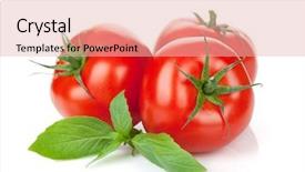  Presentation with italian food cooking tomatoes basil - PPT theme featuring three ripe tomatoes and basil background and a lemonade colored foreground