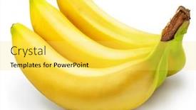  Presentation with yellow - Slide deck having three-ripe-yellow-bananas-file background and a yellow colored foreground