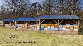  Presentation with bee - Cool new PPT theme with three-same-bee-houses backdrop and a coral colored foreground