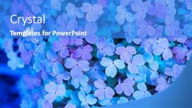  Presentation with clover - Slide deck enhanced with three-shamrock-leaves background and a cobalt blue colored foreground