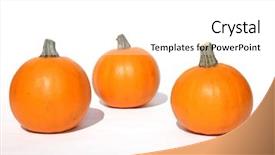  Presentation with thanksgiving - PPT theme featuring three small pumpkins for halloween or thanksgiving on white background and a white colored foreground