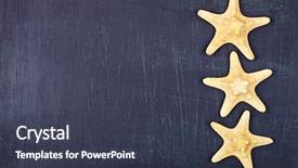  Presentation with tropical top view summer botanical - Audience pleasing presentation design consisting of three starfish on black backdrop and a tawny brown colored foreground