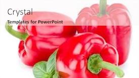  Presentation with peppers - Amazing theme having three sweet bell peppers isolated on white background cutout backdrop and a white colored foreground