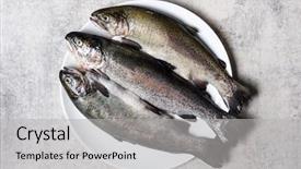  Presentation with food fish - Slide set having three trout fish on white background and a  colored foreground