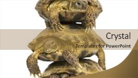  Presentation with three for one - Slide deck featuring three turtles one above background and a gold colored foreground