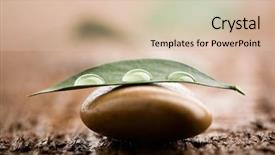  Presentation with leaf water drops fresh - Slides featuring three water drops on fresh green leaf background and a lemonade colored foreground