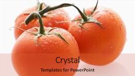  Presentation with vine - Amazing PPT layouts having red ripe tomatoes on vine backdrop and a red colored foreground