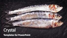  Presentation with sardines - PPT layouts featuring three whole sardines on black background and a dark gray colored foreground