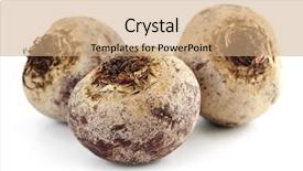  Presentation with sugar - Cool new presentation theme with three whole sugar beets backdrop and a coral colored foreground