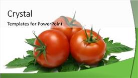  Presentation with water droplets - Presentation consisting of leaves from tomato vine background and a white colored foreground