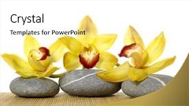  Presentation with zen stone - Cool new PPT theme with three yellow orchid zen stone on woven mat backdrop and a white colored foreground