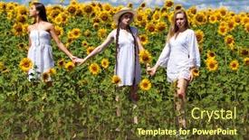  Presentation with sunflowers - Colorful PPT theme enhanced with three young models in white dress posing against the blue sky in sunflowers field backdrop and a tawny brown colored foreground