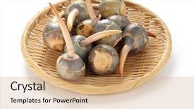  Presentation with vegetable microbiology - Presentation consisting of threeleaf arrowhead kuwai japanese vegetable background and a coral colored foreground