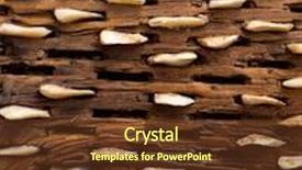  Presentation with aged wood - PPT layouts featuring threshing board for wheat of aged wood and stones texture vintage pattern background and a tawny brown colored foreground