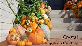  Presentation with halloween pumpkins thanksgiving day - Slides having threshold - pumpkins in front door background and a coral colored foreground