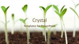  Presentation with seedling - Theme featuring thrive - close-up of green seedling growing background and a cream colored foreground