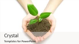  Presentation with hands planting a cabbage seedling - Audience pleasing slide deck consisting of thrive - holding a plant between hands backdrop and a sky blue colored foreground