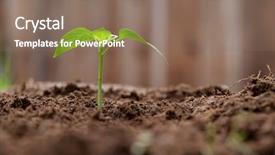  Presentation with dirt - Beautiful presentation theme featuring thrive - sprout growing out of dirt backdrop and a violet colored foreground