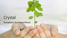  Presentation with hands holding - Theme with thrive - wooman holding a plant background and a soft green colored foreground