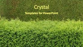  Presentation with tv screens noise on old - Audience pleasing PPT theme consisting of thuyas as screens backdrop and a tawny brown colored foreground