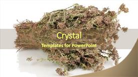  Presentation with thyme - PPT theme with thyme-herb-isolated-on-white background and a tawny brown colored foreground