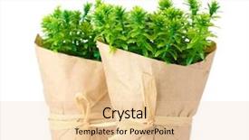  Presentation with thyme - Amazing presentation having sustainable development - some windmills standing in desert backdrop and a sky blue colored foreground